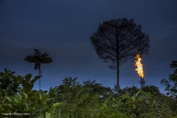 El petróleo pone en peligro la biodiversidad del Amazonas