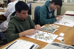 El Real Jardín Botánico-CSIC apuesta por la formación laboral de los jóvenes