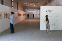 Más de 26.000 personas visitan las exposiciones de PHE 2016 en el Real Jardín Botánico-CSIC