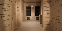 El MoMA y el Reina Sofía organizan una de las retrospectivas más completas del artista Marcel Broodthaers