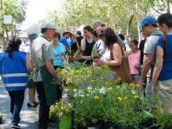 Descubre la naturaleza urbana en Pasea Madrid