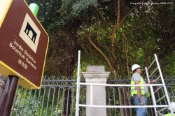 Comienza la restauración del cerramiento histórico del Real Jardín Botánico de Madrid