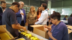 La Estrategia Madrid por el Empleo apoyará a más de 10.000 personas con discapacidad