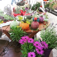 Los “mercaderes” se instalan en las plazas de los mercados municipales