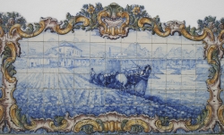 Exposición  "De la fotografía al azulejo. Pueblo, monumentos y paisajes de Portugal en la primera mitad del siglo XX"