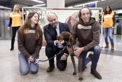 El Refugio promociona la adopción de animales abandonados