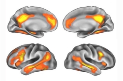El embarazo modifica el cerebro de la madre, un estudio con investigadores del Marañón