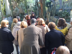 La Botánica artística terapia contra el Alzheimer