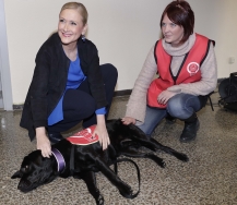 Nuevo Servicio de Intervención Canina