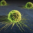 Los hospitales de la Comunidad realizan más de 500 ensayos clínicos sobre cáncer