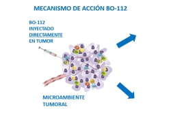 El Gregorio Marañón prueba la primera inmunoterapia española contra el cáncer