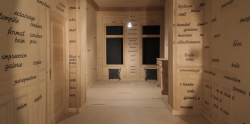 El Reina Sofía y el MoMA inauguran en Düsserldorf la mayor retrospectiva de Broodthaers - See more at: http://www.hoyesarte.com/exposiciones-artes-vis