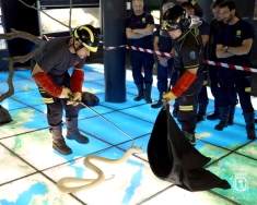 Los bomberos del Ayuntamiento de Madrid se forman en el manejo y control de especies exóticas