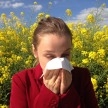 Sanidad informa a través de mensajes SMS del polen que más afecta a los alérgicos