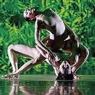 Cervantes, Shakespeare y danza oriental en la agenda cultural de este fin de semana