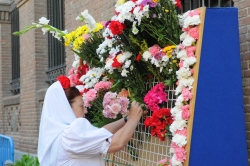 Fiestas de la Paloma
