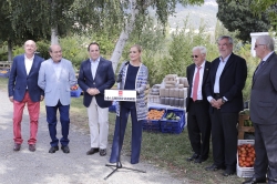 Cerca de 33 toneladas de alimentos para diferentes entidades sociales