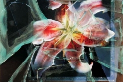 El Centro Cultural Casa de Vacas presenta 'Schommer. Al natural', una exposición del fotógrafo Alberto Schommer