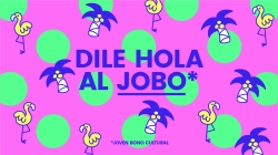 JOBO, el bono de acceso gratuito a la cultura para los jóvenes