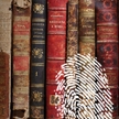Nuevo Club Virtual de Lectura dedicado a John Banville en el Portal del Lector