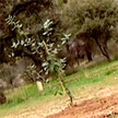 1,2 millones para el Parque del Curso Medio del Río Guadarrama