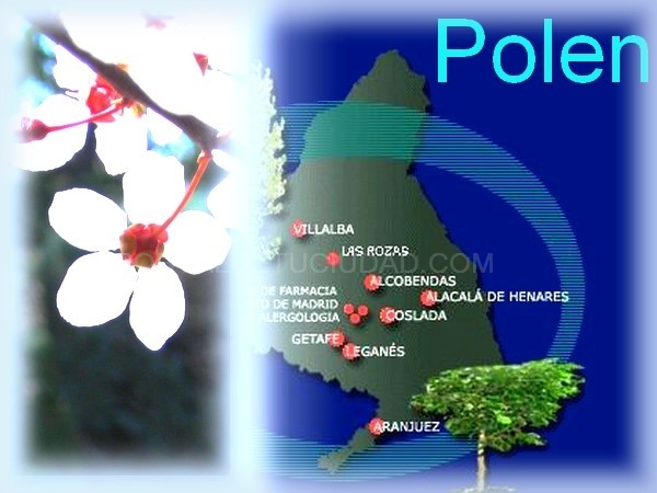 Información diaria sobre el polen