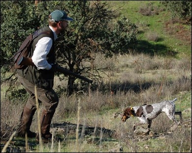 CONTROL SANITARIO DE LOS ANIMALES SILVESTRES ABATIDOS EN CAZA