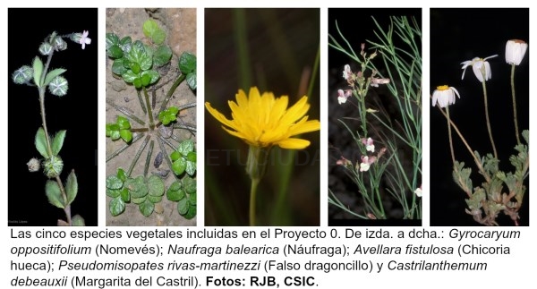 Los Proyectos Cero en Especies amenazadas, una de las 20 ideas para salvar la naturaleza a concurso en el blog NaturaHoy