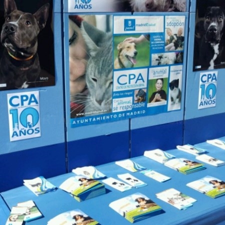 El Retiro albergará antes de fin de año el nuevo Centro de Adopción de mascotas