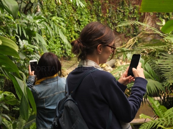 Nace Natusfera, una plataforma virtual que conectará los amantes de la naturaleza de toda Europa