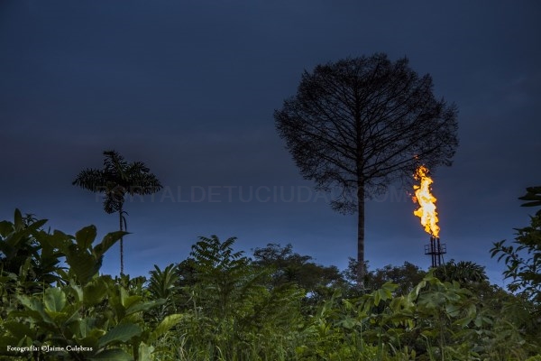El petróleo pone en peligro la biodiversidad del Amazonas