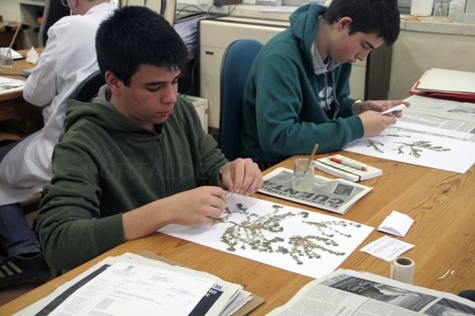 El Real Jardín Botánico-CSIC apuesta por la formación laboral de los jóvenes
