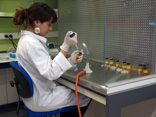 Nueva convocatoria de becas SYNTHESYS 2016