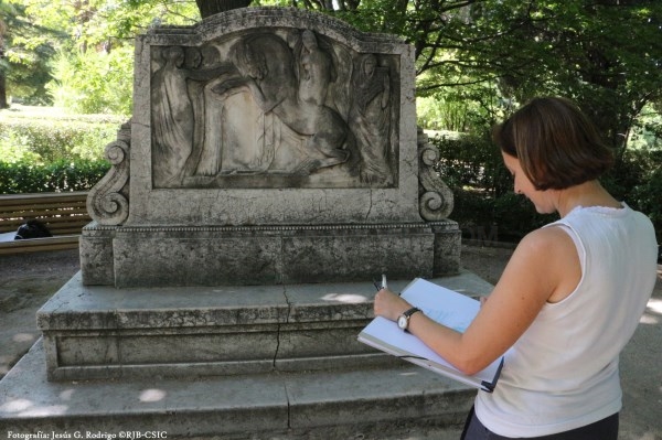 Comienza en el Real Jardín Botánico-CSIC la restauración del banco decorativo, Premio Nacional de Escultura 1923, obra del escultor catalán Frederic M