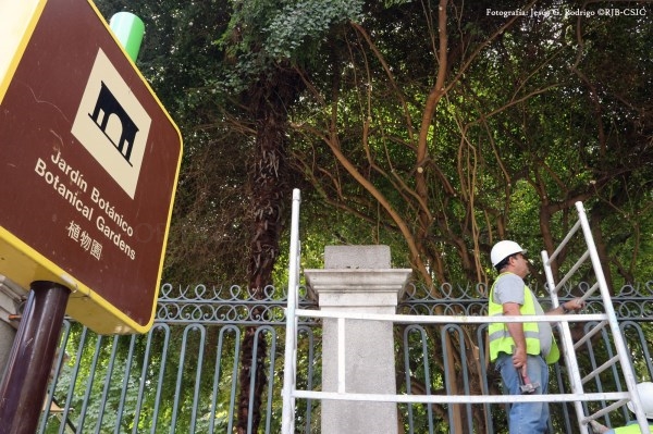 Comienza la restauración del cerramiento histórico del Real Jardín Botánico de Madrid