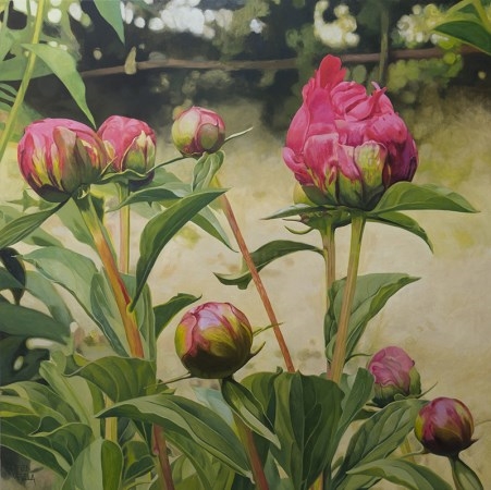 El Real Jardín Botánico, a través de los ojos artísticos de Carmen Varela