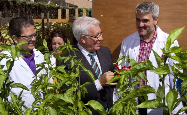 Sanidad realizará un primer estudio sobre los efectos en la salud de un huerto terapéutico