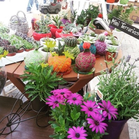 Los “mercaderes” se instalan en las plazas de los mercados municipales