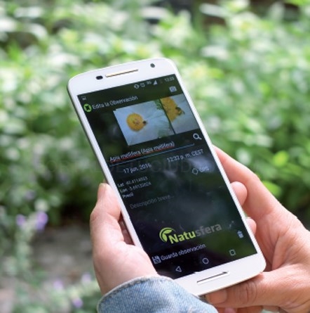 Natusfera, participación y difusión de la biodiversidad