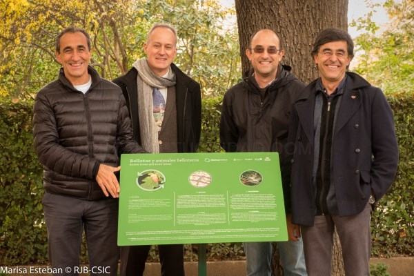 Descubre cómo se mueve el bosque en la exposición Mutuamente