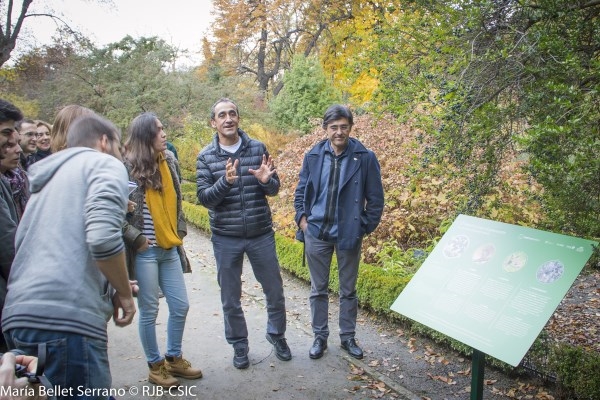 Descubre cómo se mueve el bosque en la exposición Mutuamente