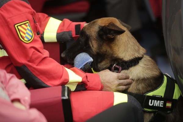 Premio al Bienestar Animal para la Comunidad de Madrid