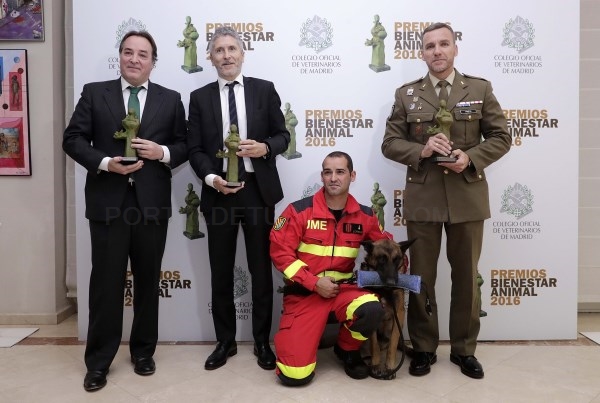 Premio al Bienestar Animal para la Comunidad de Madrid