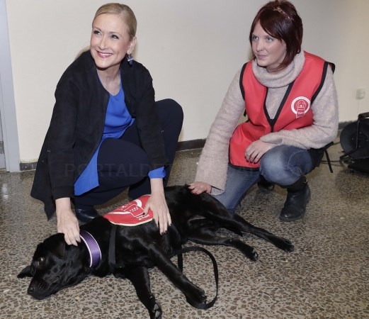 Nuevo Servicio de Intervención Canina
