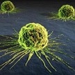 Los hospitales de la Comunidad realizan más de 500 ensayos clínicos sobre cáncer