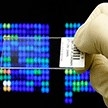 Nuevas políticas para el fomento de la innovación tecnológica en la Comunidad de Madrid