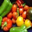 Servicio de asesoramiento nutricional del menú escolar
