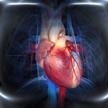 El Gregorio Marañón simula un cateterismo en un corazón creado por una impresora 3D