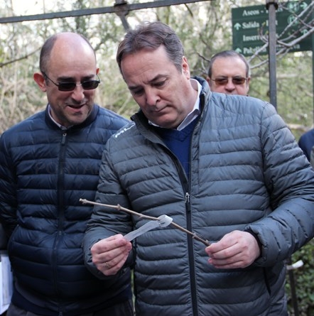 La Comunidad de Madrid dona 234 variedades de vides al Real Jardín Botánico originarias de esta institución