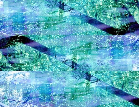 En la noche. Proyecciones nocturnas, un programa que expone El Real Jardín Botánico desde una perspectiva fotográfica única